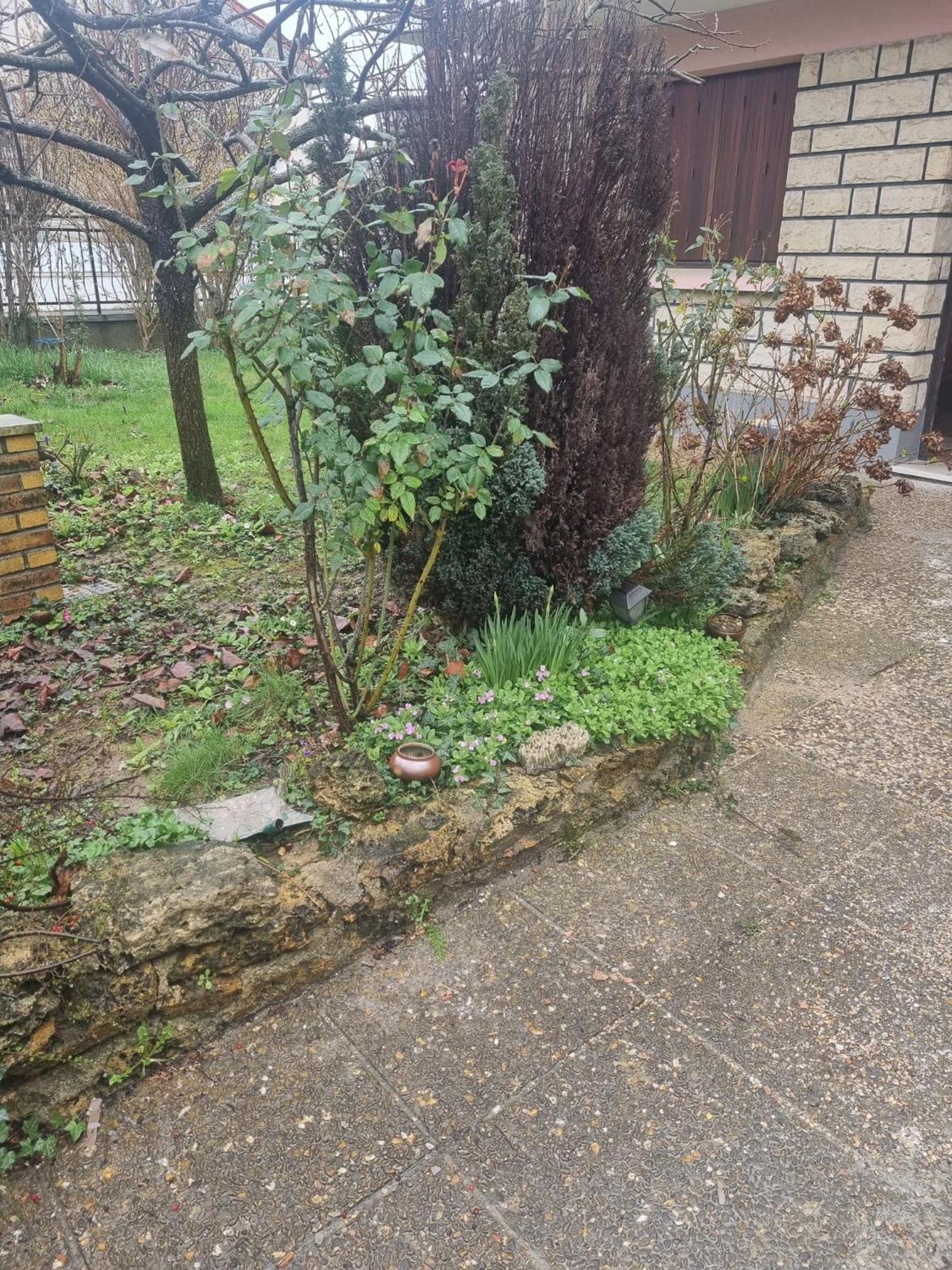 Bel Appart F2-5 Mn Aeroport D'Orly Paray-Vieille-Poste 외부 사진